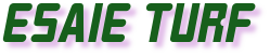 esaieturf